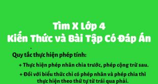 Tìm X Lớp 4 -3 Mục Kiến Thức Cần Nhớ và 5 Dạng Toán Quan Trọng Nhất