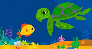 Truyện Cá Diếc Con - Nội Dung Chi Tiết Câu Chuyện