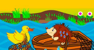 Truyện Nhím Con Kết Bạn (Chủ Đề Động Vật) - Nội Dung và Giáo Án