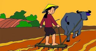 Bài Thơ Đi Bừa Cho Trẻ Mầm Non - Nội Dung Chi Tiết Kèm Giáo Án