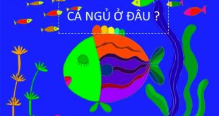 Lời Bài Thơ Cá Ngủ Ở Đâu - Cùng Giáo Án Chi Tiết