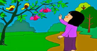 Bài Thơ Chùm Quả Ngọt - Nội Dung Chi Tiết Và Giáo Án