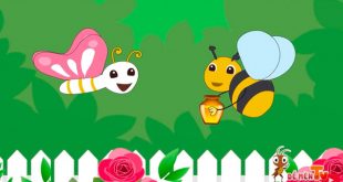 Lời Bài Thơ Ong và Bướm Cùng giáo Án Chi Tiết Nhất