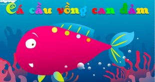 Truyện Cá Và Cầu Vồng Can Đảm Mầm Non - Nội Dung và Giáo Án