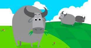 Bài Thơ Con Trâu - Lời Bài Thơ Chi Tiết và Giáo Án Tham Khảo