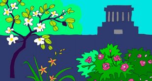 Bài Thơ Hoa Quanh Lăng Bác - Lời Bài Thơ và Giáo Án Tham Khảo