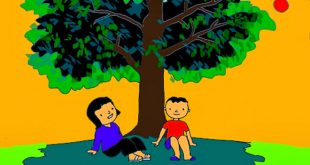 Bài Thơ Cây Bàng Mầm Non - Lời Bài Thơ Chi Tiết Kèm Giáo Án