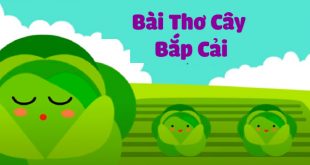 Bài Thơ Cây Bắp Cải - Lời Bài Thơ Chi Tiết và Giáo Án