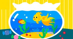 Lời Bài Thơ Con Cá Vàng Mầm Non - Và Giáo Án Tham Khảo