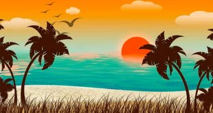 bài thơ cây dừa