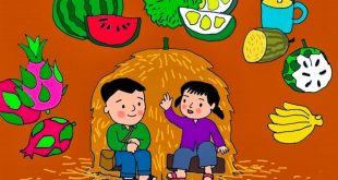 Vè Trái Cây Giúp Nhận Biết Các Loại Quả - Nội Dung và Giáo Án