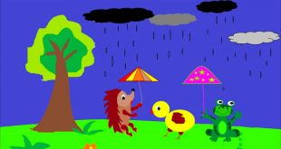 Bài Thơ Che Mưa Cho Bạn - Lời Bài Thơ và Giáo Án Tham Khảo