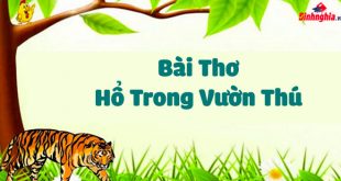 Bài thơ Hổ Trong Vườn Thú - Lời Thơ Chi Tiết kèm Giáo Án
