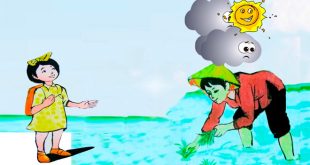 Bài Thơ Bóng Mây Mầm Non - Lời Bài Thơ và Giáo Án chi Tiết