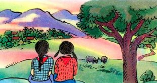 Bài Thơ Sắc Màu Em Yêu - Tập Đọc Lớp 5 - Lời Thơ - Câu Hỏi và Giáo Án