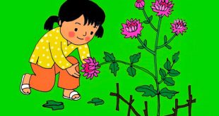 Bài Thơ Cây Thược Dược Mầm Non - Lời Bài Thơ và Giáo Án Tham Khảo