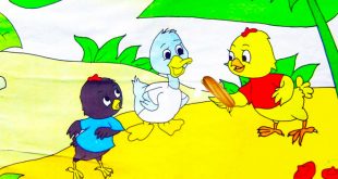 truyện hai anh em gà con