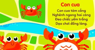 Bài Thơ Con Cua Mầm Non - Lời Bài Thơ và Giáo Án Tham Khảo
