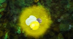 bài thơ anh đom đóm