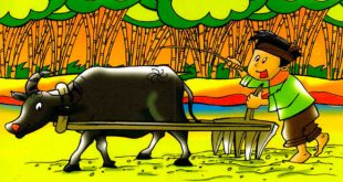 Bài Thơ Đi Cày Chủ Đề Nghề Nghiệp Cho Trẻ Mầm Non Mẫu Giáo