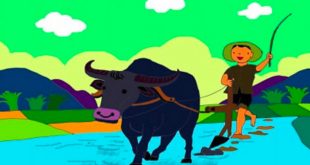 Bài Thơ Bố Đi Cày - Lời Bài Thơ Chi Tiết kèm Giáo Án Tham Khảo