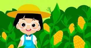 Bài Thơ Cây Ngô Mầm Non - Lời Bài Thơ Chi Tiết Nhất