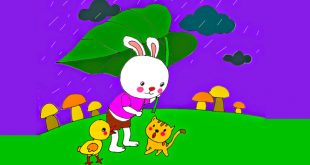 tranh truyện chiếc ô của thỏ trắng