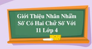 Giới Thiệu Nhân Nhẩm Số Có Hai Chữ Số Với 11 Lớp 4