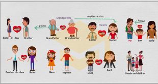 89+ Từ Vựng Về Gia Đình Trong Tiếng Anh Phổ Biến Nhất