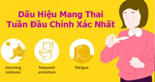 23 Dấu Hiệu Mang Thai Tuần Đầu Chính Xác Nhất Các Mẹ Nên Biết