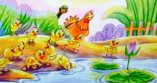 7+ Truyện Cho Trẻ Mầm Non 4-5 Tuổi Hay Nhất