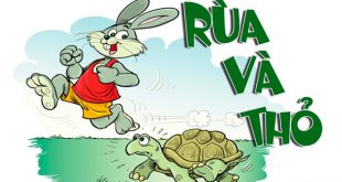 Truyện Rùa Và Thỏ - Nội Dung Chi Tiết Và Ý Nghĩa Truyện