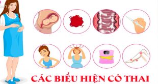Mang Thai Tuần Đầu Bụng Có To Không? Và Bụng Có Cứng Không?