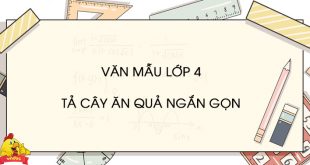 bài văn tả cây ăn quả lớp 4