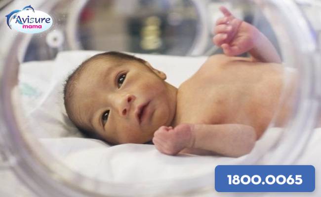 Trẻ sơ sinh nhẹ cân thường có hệ miễn dịch yếu