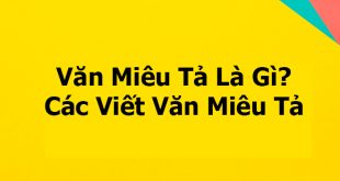 Văn miêu tả là gì?