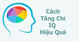 11 Cách Tăng IQ Hiệu Quả Được Áp Dụng Rộng Rãi