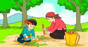 Truyện Sự Tích Cây Khoai Lang Đầy Đủ và Chi Tiết