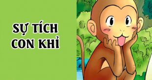 Truyện Sự Tích Con Khỉ Bản Đầy Đủ và Chi Tiết Nhất