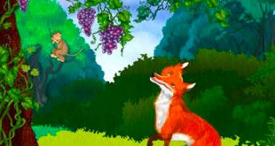 Truyện Con Cáo và Chùm Nho - Nội Dung và Ý Nghĩa