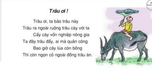 Ca Dao Trâu Ơi Ta Bảo Trâu Này - Lời Thơ và Ý Nghĩa