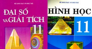 Toàn Bộ Nội Dung Chương Trình Toán Lớp 11 Cơ Bản - Đại Số - Hình Học