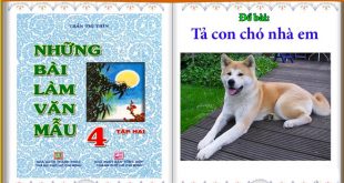 4 Bài Văn Tả Con Chó Lớp 4 Ngắn Gọn Siêu Hay