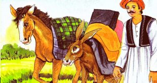 [ TẬP ĐỌC LỚP 3 ] Bài Lừa và Ngựa - Nội Dung Bài Đọc và Bài Soạn