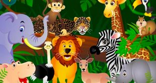 Cuộc Chạy Đua Trong Rừng - Tập Đọc Lớp 3 - Bài Đọc và Bài Soạn