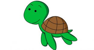 Truyện Con Rùa Khôn Ngoan - Nội Dung Chi Tiết Truyện