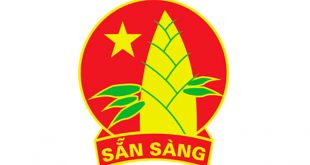 Ý Nghĩa Của Huy Hiệu Đội Là Gì? Giải Thích Đầy Đủ và Chi Tiết