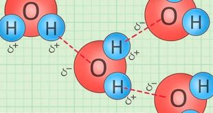 [ Đầy Đủ ] Tính Chất Hóa Học Của Nước Và Bài Tập Vận Dụng
