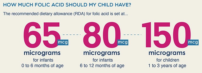 Hàm lượng acid folic cần đáp ứng cho trẻ mỗi ngày 1
