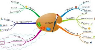 Cách vẽ sơ đồ tư duy đẹp, đơn giản